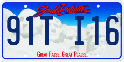 SD license plate 91TI16