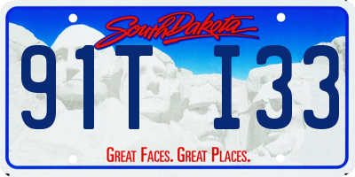 SD license plate 91TI33
