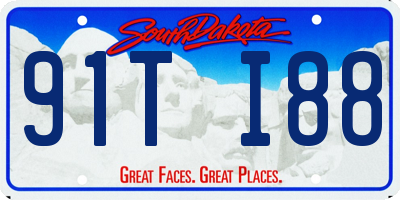 SD license plate 91TI88