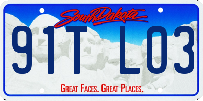 SD license plate 91TL03