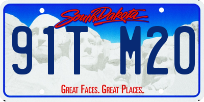 SD license plate 91TM20