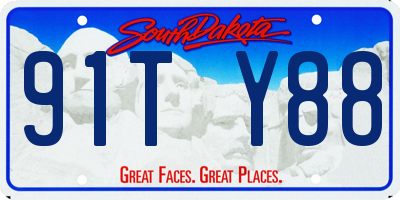 SD license plate 91TY88
