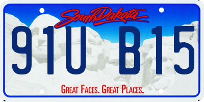 SD license plate 91UB15