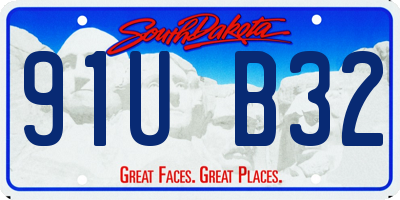 SD license plate 91UB32