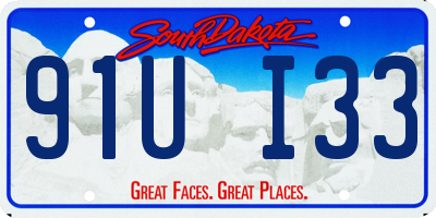 SD license plate 91UI33