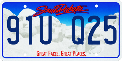 SD license plate 91UQ25