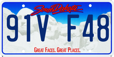 SD license plate 91VF48