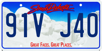 SD license plate 91VJ40