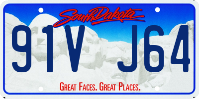 SD license plate 91VJ64