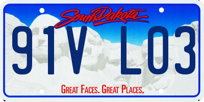SD license plate 91VL03