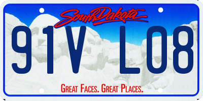 SD license plate 91VL08