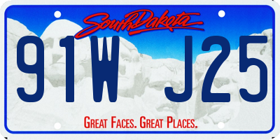 SD license plate 91WJ25