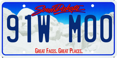 SD license plate 91WM00