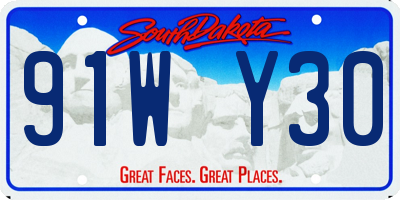 SD license plate 91WY30