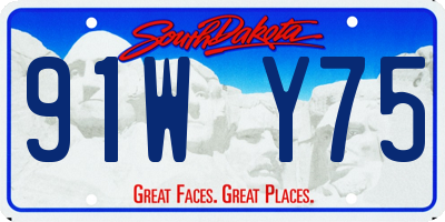SD license plate 91WY75