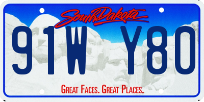 SD license plate 91WY80