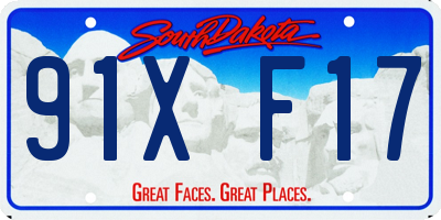 SD license plate 91XF17