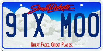 SD license plate 91XM00
