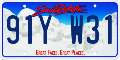 SD license plate 91YW31