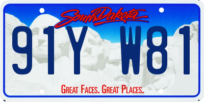 SD license plate 91YW81