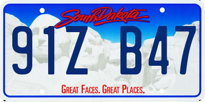 SD license plate 91ZB47