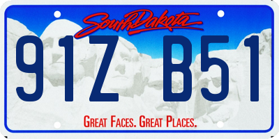 SD license plate 91ZB51