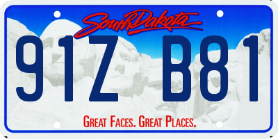 SD license plate 91ZB81