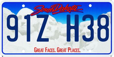 SD license plate 91ZH38