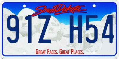 SD license plate 91ZH54