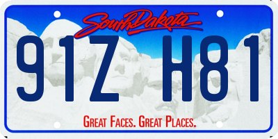 SD license plate 91ZH81