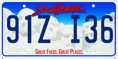 SD license plate 91ZI36