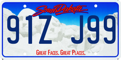 SD license plate 91ZJ99