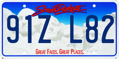 SD license plate 91ZL82