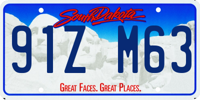 SD license plate 91ZM63