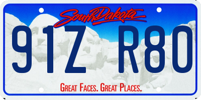 SD license plate 91ZR80