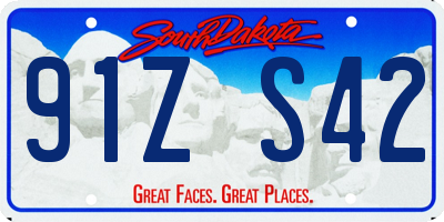 SD license plate 91ZS42