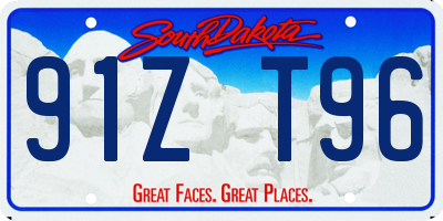 SD license plate 91ZT96