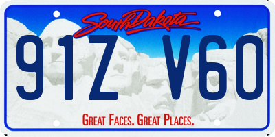 SD license plate 91ZV60