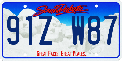 SD license plate 91ZW87