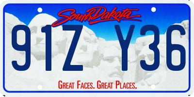 SD license plate 91ZY36
