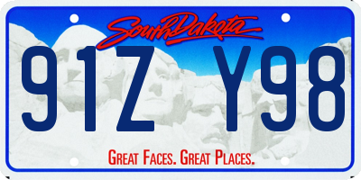SD license plate 91ZY98