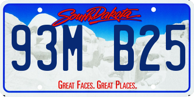 SD license plate 93MB25