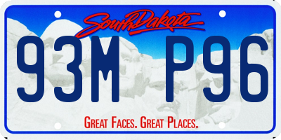 SD license plate 93MP96