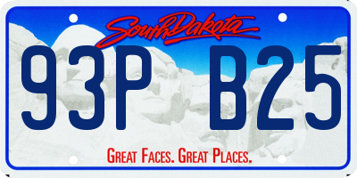 SD license plate 93PB25