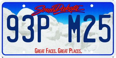 SD license plate 93PM25