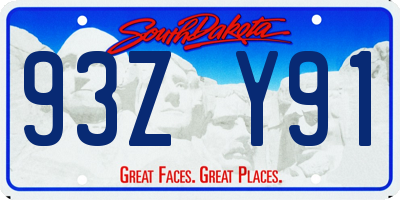 SD license plate 93ZY91