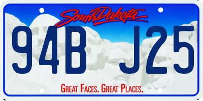 SD license plate 94BJ25