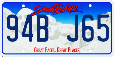 SD license plate 94BJ65