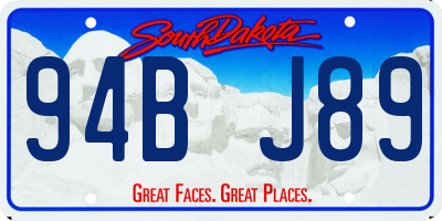 SD license plate 94BJ89