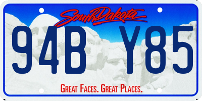 SD license plate 94BY85